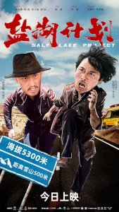 Проект Соленое озеро